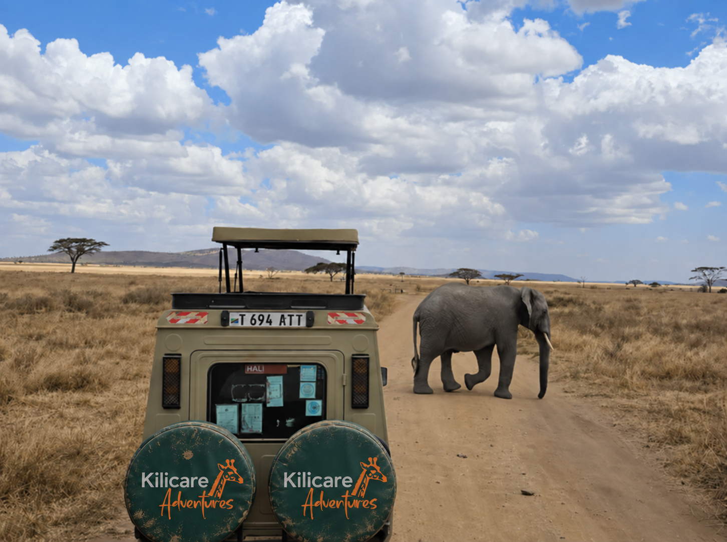 Wildlife Safaris