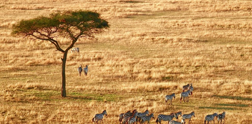 3 Days Tanzania camping Safaris