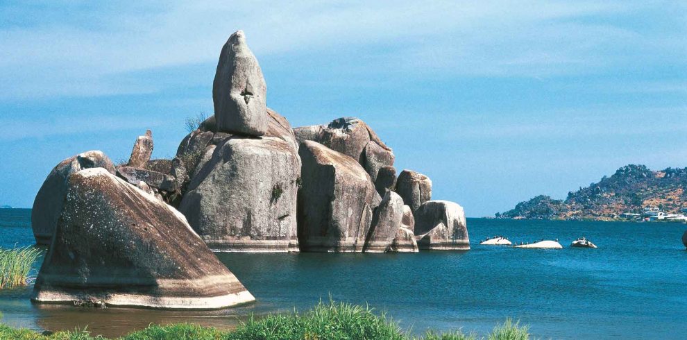 1 day serengeti safari from mwanza