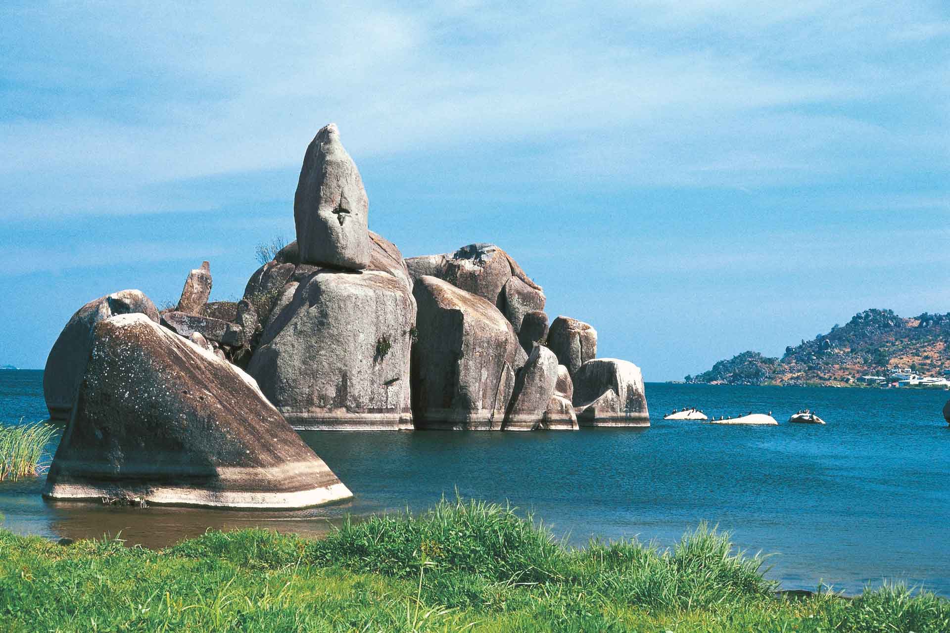 1 day serengeti safari from mwanza